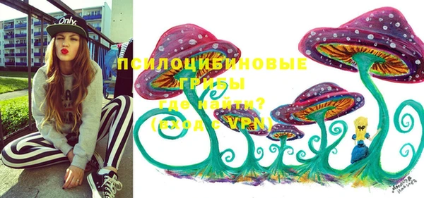 эйфоретик Карпинск
