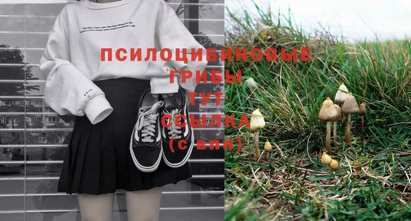 тгк Касимов