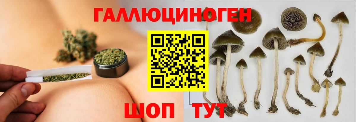 Псилоцибиновые грибы Psilocybine cubensis  Вход с VPN  Копейск 